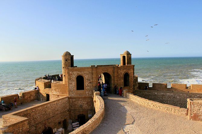 Essaouira Day Trip From Agadir or Taghazout - Transportation and Group Size