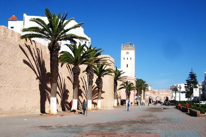 Essaouira Day Trip From Agadir or Taghazout - Who Should Consider This Tour?