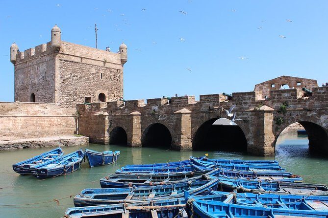 Essaouira day trip from Agadir & Taghazout - Authentic Insights from Travelers