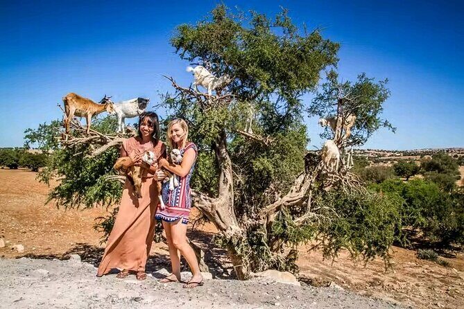 Essaouira Day Trip from Marrakech - FAQ