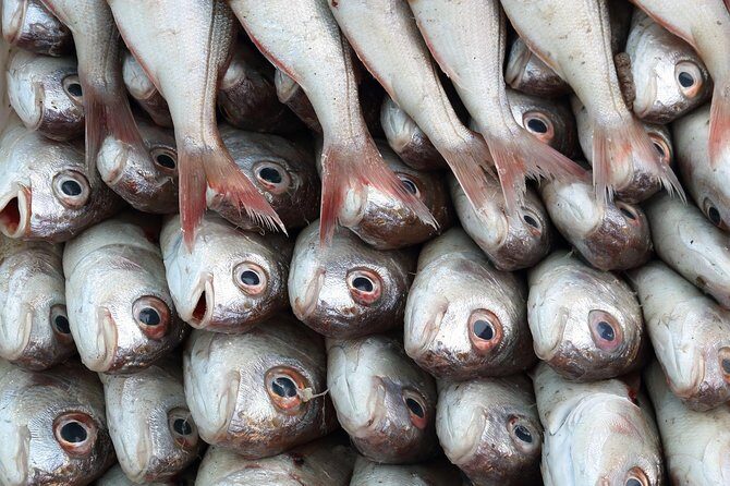Essaouira Day Trip From Marrakech - Authentic Experiences and Traveler Feedback