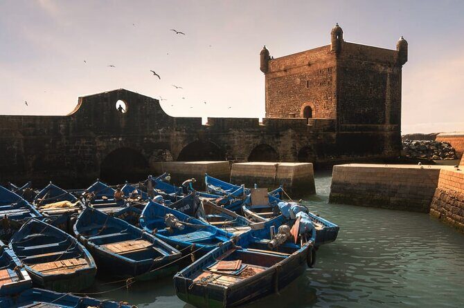 Essaouira day trip from Marrakech - Key Points