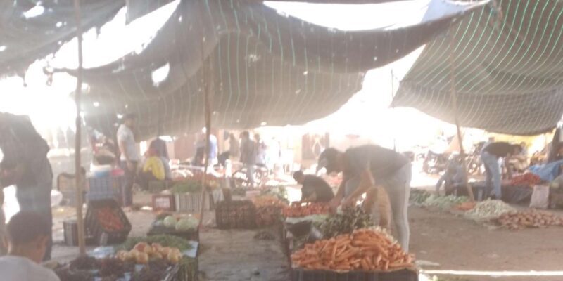 Essaouira Day Trip from Marrakech _ medina, old port - Frequently Asked Questions