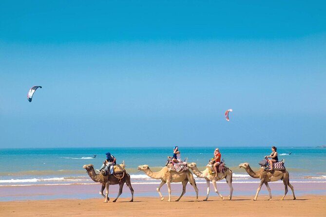 Essaouira Day Trip From Marrakech , Sea and Culture - An In-Depth Look at the Essaouira Day Trip