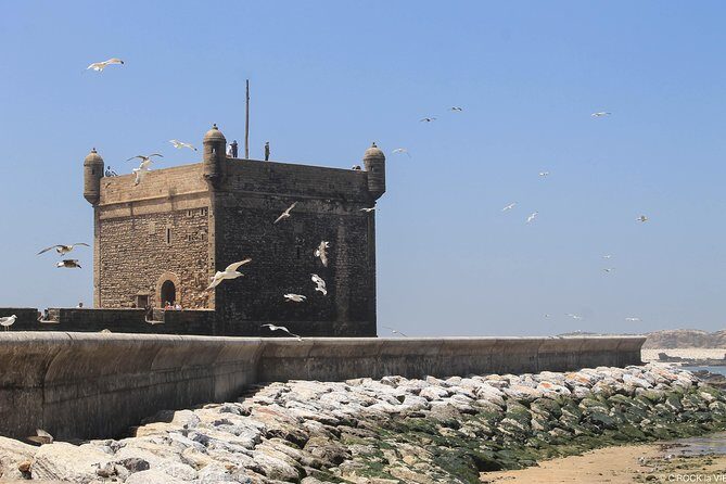 essaouira excursion from Marrakech medina city walls & beachs - The Complete Experience: What to Expect on the Day Trip