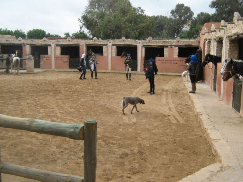 Essaouira: Full-Day Horse Riding Tour with Lunch - Starting Point and Transportation