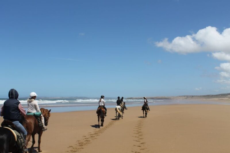 Essaouira: Full-Day Horse Riding Tour with Lunch - Meeting the Horses and the Ranch
