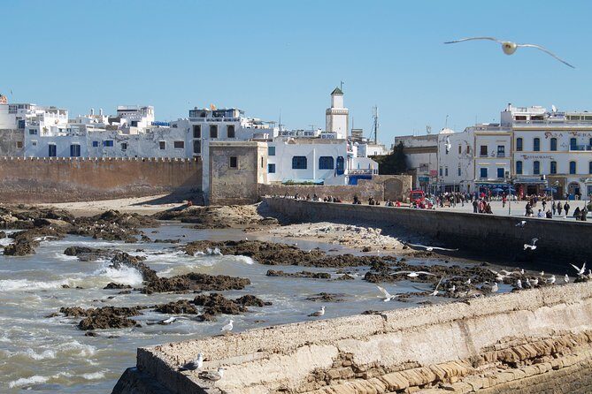 Essaouira Full-Day Tour from Marrakech - A Deep Dive into the Essaouira Full-Day Experience