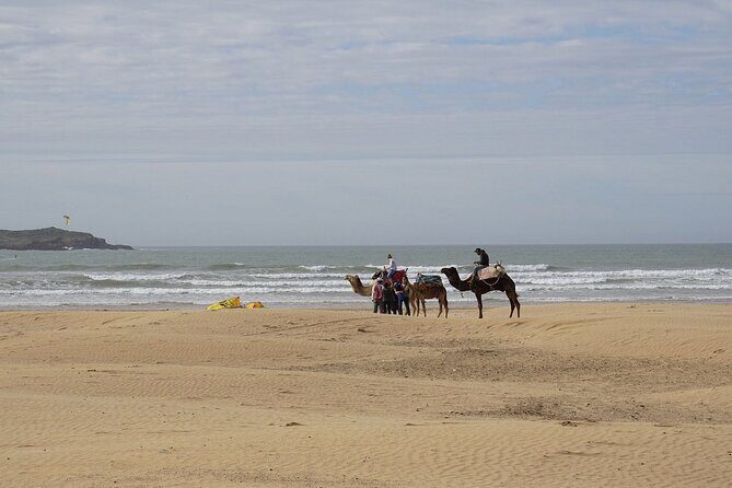 Essaouira Full-Day Tour from Marrakech - Who Should Consider This Tour?