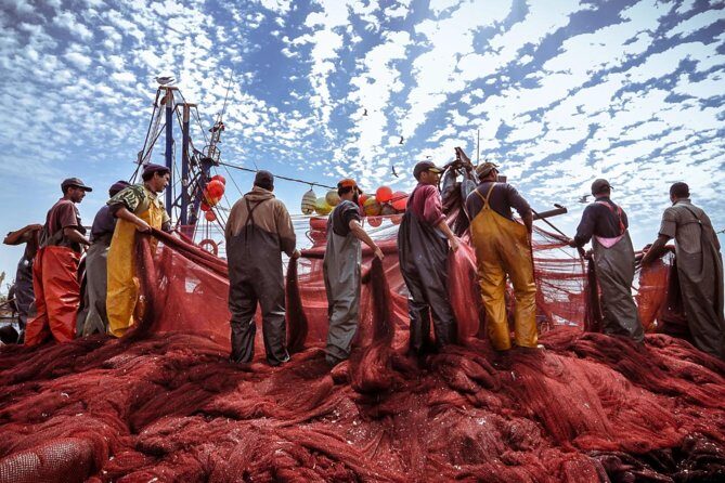 Essaouira Full Day Trip - Who Should Consider This Tour?