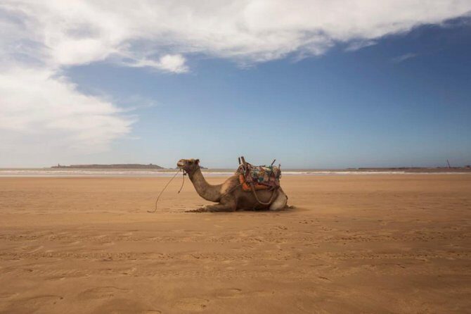 Essaouira Full Day Trip - FAQ