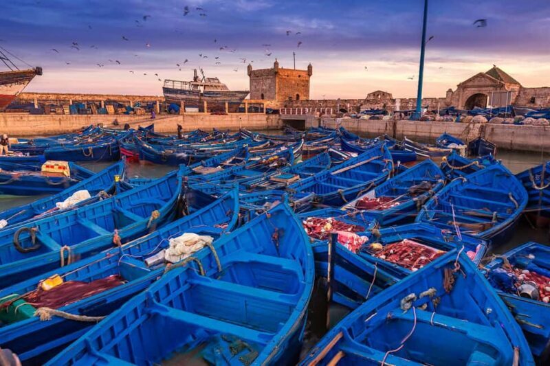 Essaouira Full Day Trip From Marrakech - Who Should Consider This Tour?