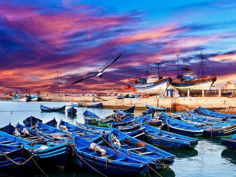 Essaouira Full Day Trip From Marrakech - Final Thoughts
