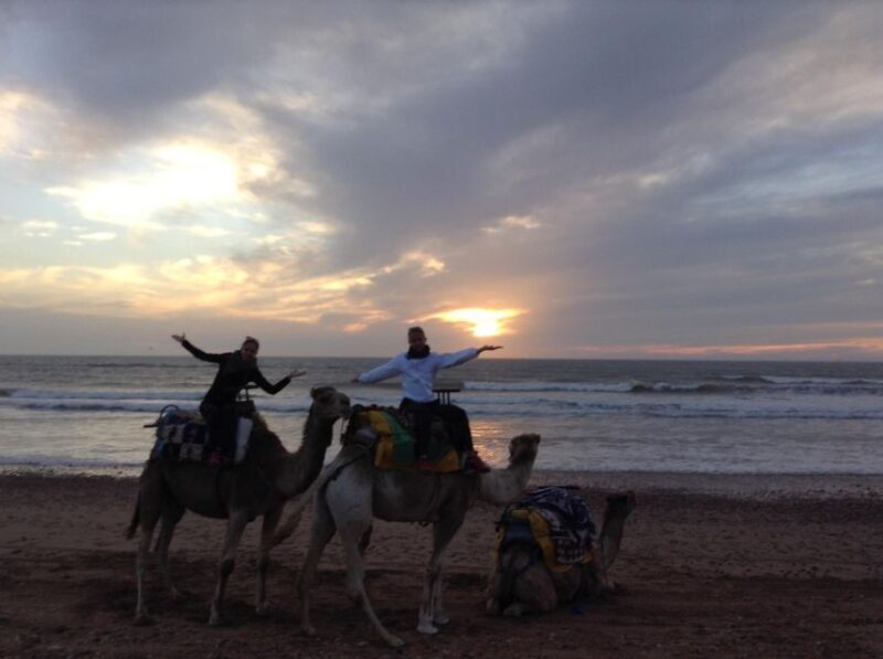 Essaouira: Guided 2h Dromedary Riding with sunset - An Authentic Sunset Camel Ride in Essaouira
