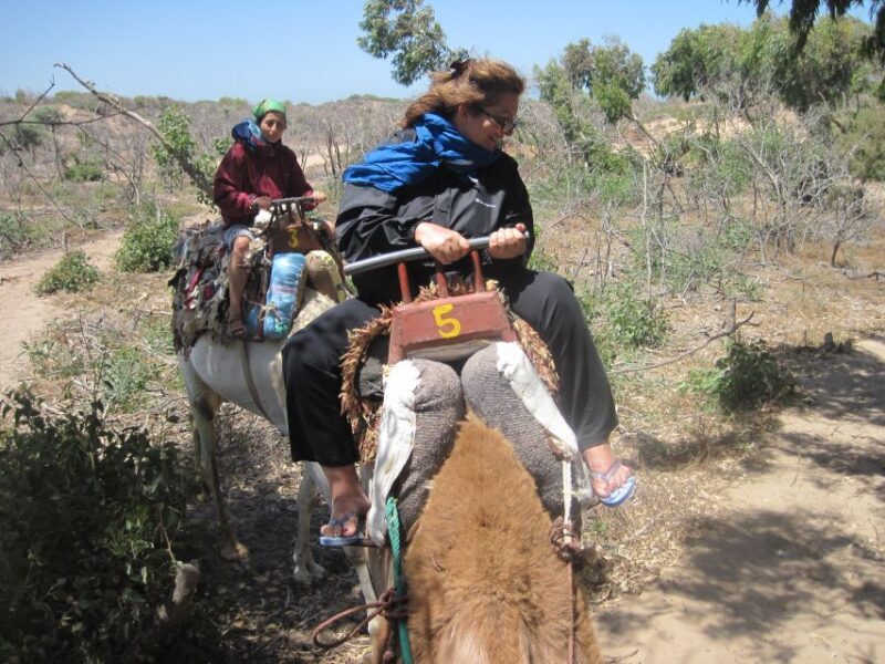Essaouira: Guided 2h Dromedary Riding with sunset - What to Expect During Your Ride