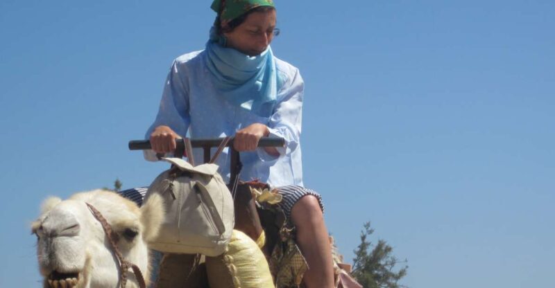 Essaouira: Guided Dromedary Riding Tour - Key Points