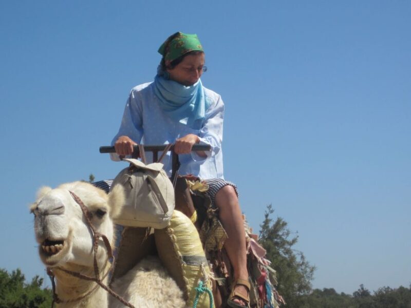 Essaouira: Guided Dromedary Riding Tour - An In-Depth Look at the Tour
