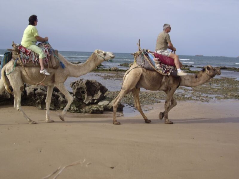 Essaouira: Guided Dromedary Riding Tour - Authentic Experiences and Traveler Feedback