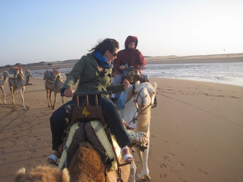 Essaouira: Guided Dromedary Riding Tour - Practical Tips for Booking and Participation