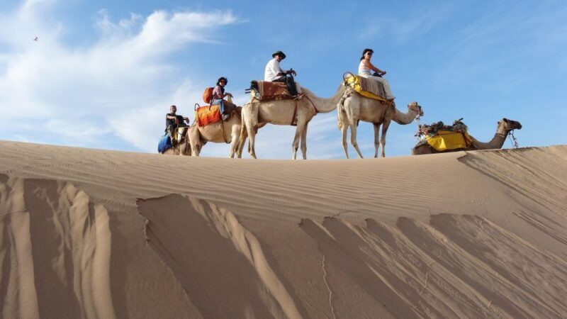 Essaouira: One Hour Dromedary Ride - An In-Depth Look at the Dromedary Ride Experience