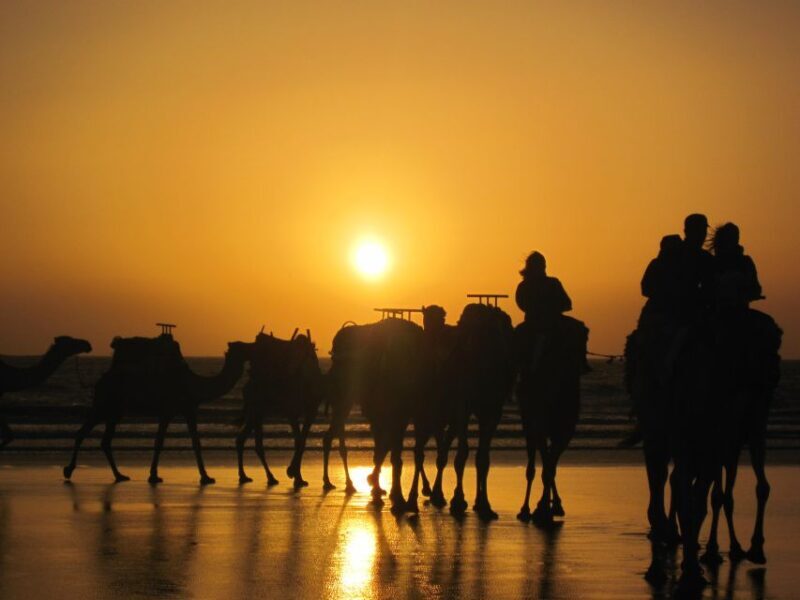 Essaouira: One Hour Dromedary Ride - Final Thoughts