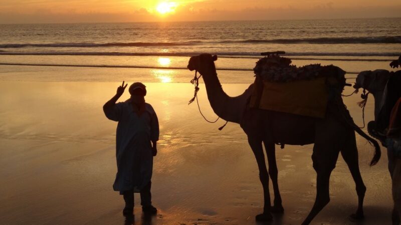 Essaouira: One Hour Dromedary Ride - The Ride: A Leisurely Exploration