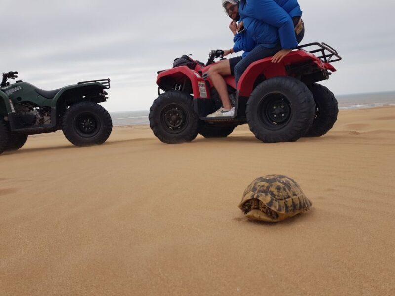 Essaouira P12 : 1h Quad bike tour and 1h dromedary Ride - An Adventure with a View: What to Expect from the Tour