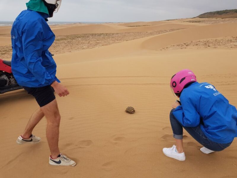 Essaouira P12 : 1h Quad bike tour and 1h dromedary Ride - Authentic Experiences, Friendly Guides, Stunning Vistas