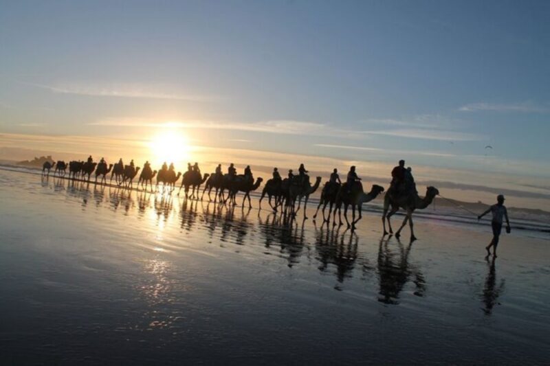 Essaouira P14: 2 Hours Quad Bike Tour and 1 Hour Camel - Key Points