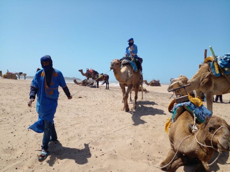Essaouira P14: 2 Hours Quad Bike Tour and 1 Hour Camel - Practical Tips