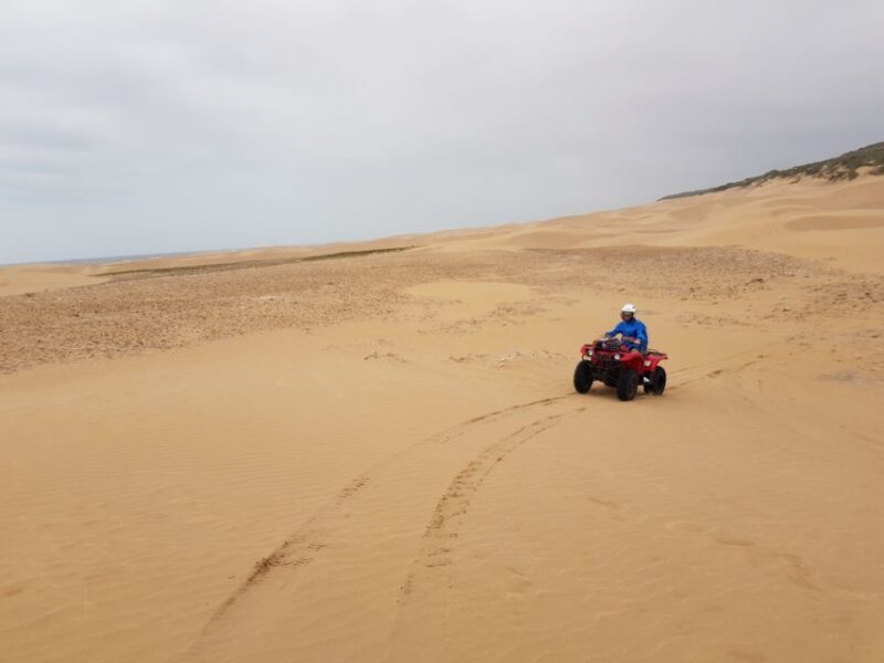 Essaouira P14: 2 Hours Quad Bike Tour and 1 Hour Camel - The Sum Up