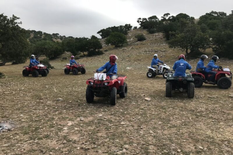 Essaouira P3: Quad tour forest beach dunes (free transfer) - An In-Depth Look at the Quad Tour Experience