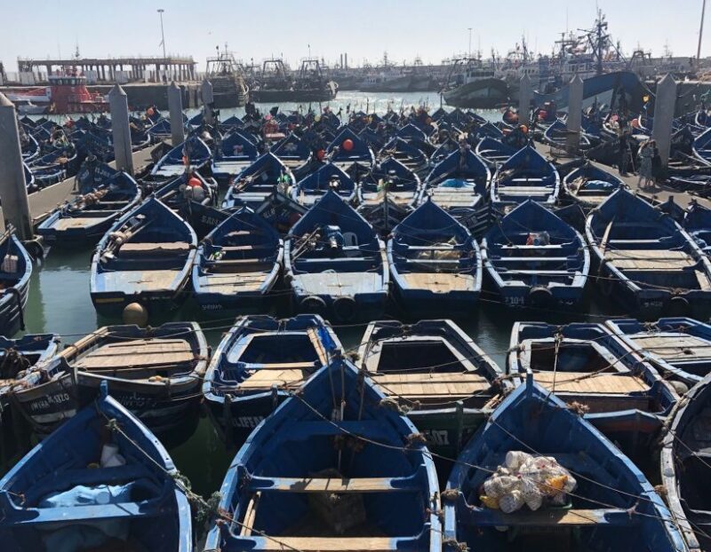 Essaouira: Private City Tour - Exploring Essaouira: A Practical and Authentic Tour