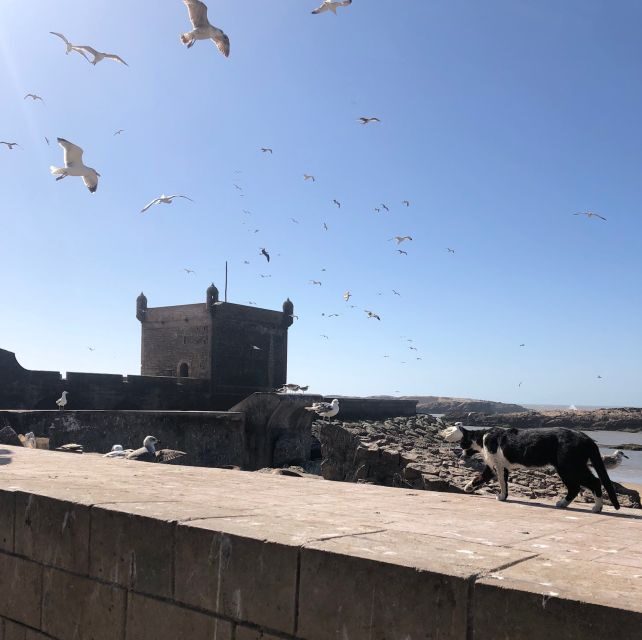 Essaouira: Private City Tour - FAQ