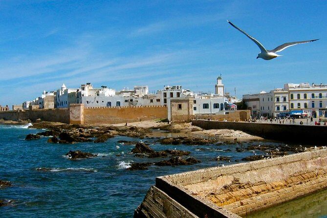Essaouira Private Full-Day Trip from Marrakech (All-inclusive) - A Detailed Look at What the Tour Offers
