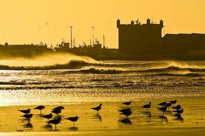 Essaouira Private Full-Day Trip from Marrakech (All-inclusive) - What Reviewers Say