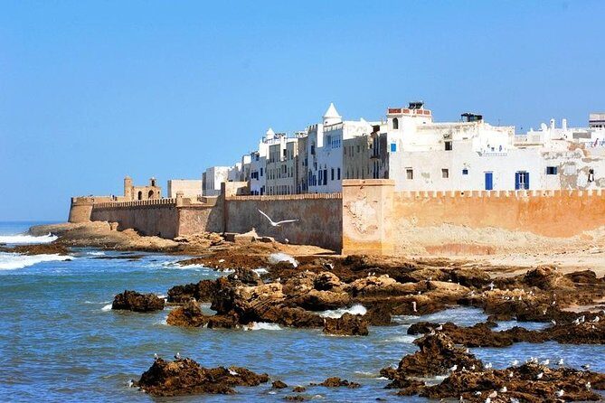 Essaouira Private Trip From Marrakech - Exploring Chichaoua and Argan Oil Production