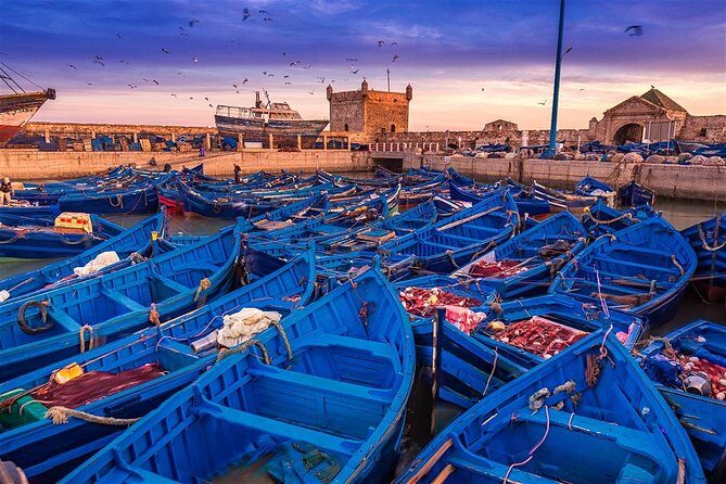 Essaouira Private Trip From Marrakech - Authentic Cultural Encounters and Free Time