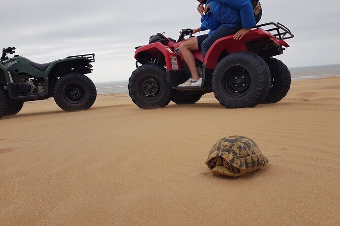 Essaouira: Quad ride / family & friends (free transfer) - Real Traveler Insights
