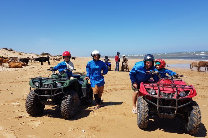 Essaouira: Quad tours (free transfer) - Key Points