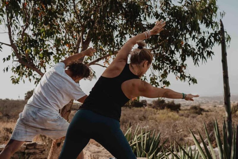 Essaouira : Surf & Yoga Retreat - Waves, Wellness &Sun - What This Surf & Yoga Retreat Offers
