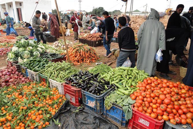 Essaouira Tour - Half day visit to berber market - Key Points