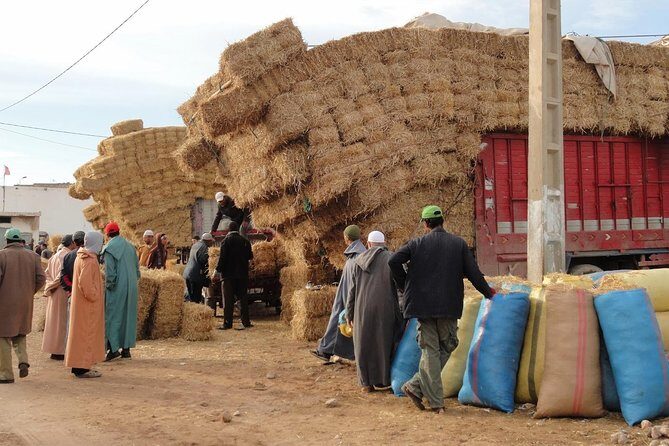 Essaouira Tour - Half day visit to berber market - The Itinerary Breakdown