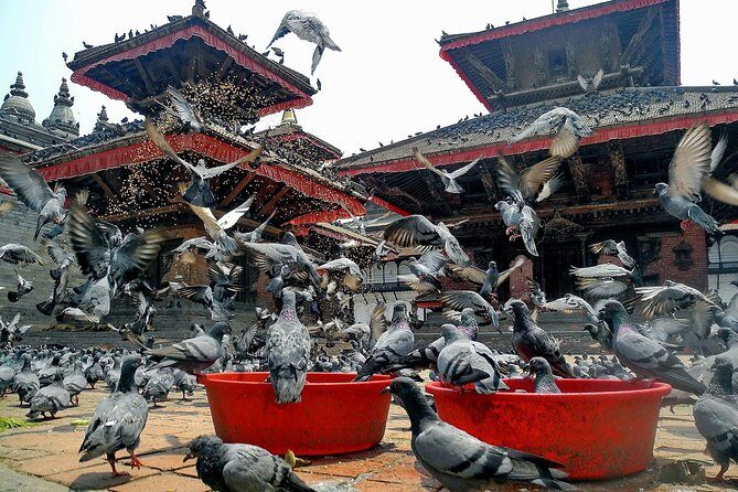Essence of magnificent India and Nepal - A Practical Breakdown of the Tour