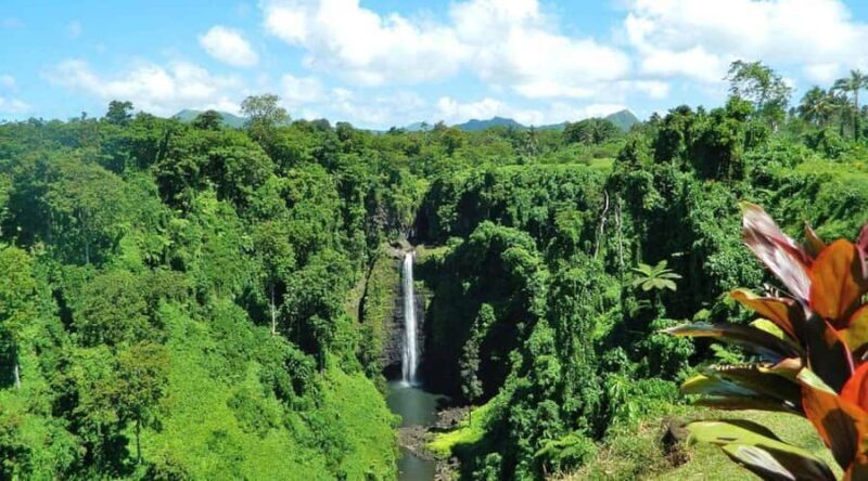 Essence Upolu: Sopoaga Falls, ToSua Trench & Lalomanu Beach - What You’ll Love & Potential Considerations