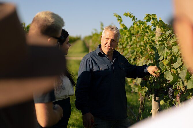 Estate to Plate Experience - A Closer Look at the Estate to Plate Tour