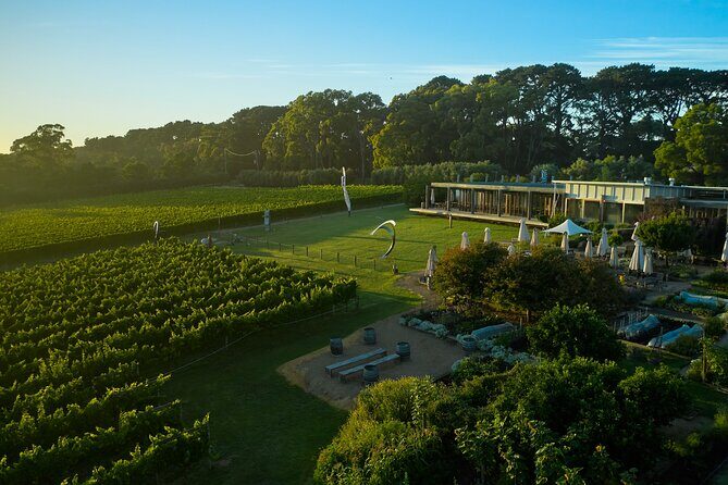 Estate to Plate: Montalto Vineyard Gourmet Lunch and Wine-Tasting Tour - Leisure and Additional Attractions
