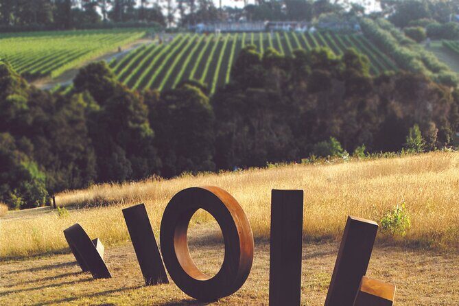 Estate to Plate: Montalto Vineyard Gourmet Lunch and Wine-Tasting Tour - Final Thoughts