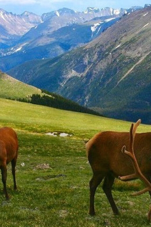Estes Park: Bear Lake Corridor Tour - What Reviewers Are Saying