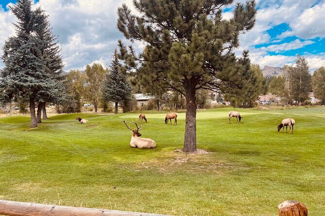 Estes Park Family e-Bike Tour - The Value of the Experience